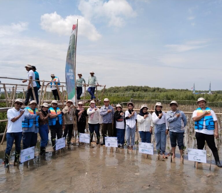 ASLIK3 Indonesia Ajak Masyarakat dan Perusahaan Berpartisipasi dalam Program Penanaman Mangrove